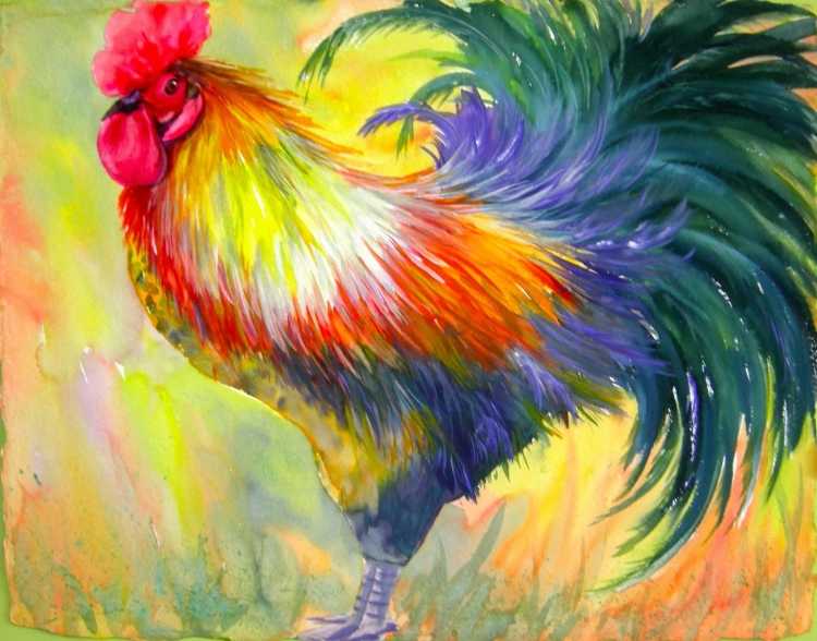 Петух акварелью