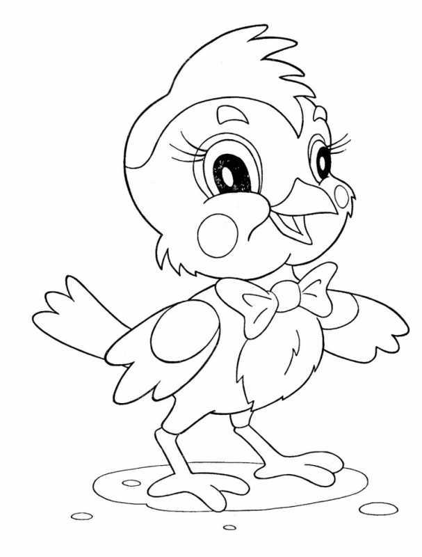 Раскраска птенец