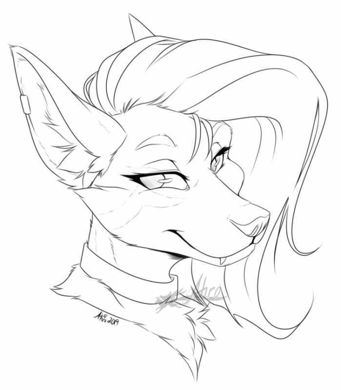 Фурри рисунки карандашом