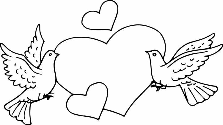 Голубочек раскраска