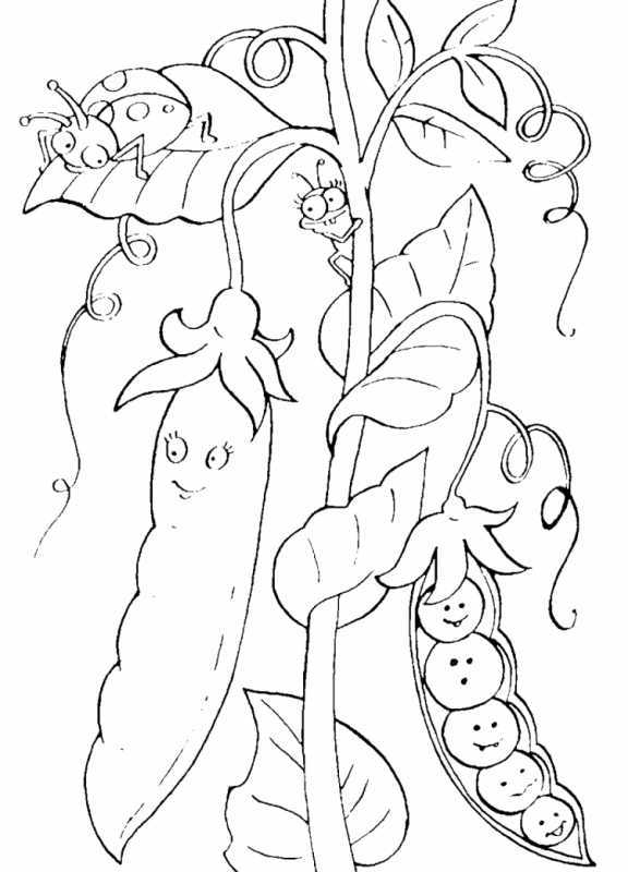 Овощи для раскрашивания