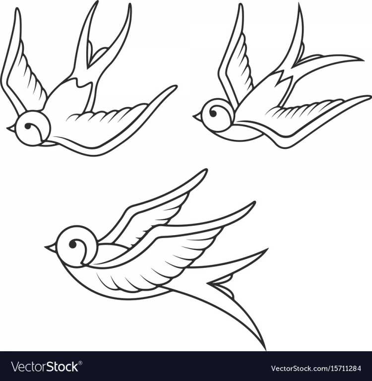 Ласточка береговушка раскраска