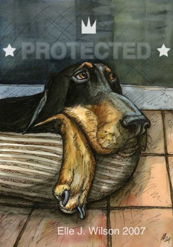 Собака и кошка зимой