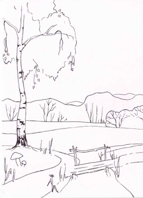 Раскраска осина дерево