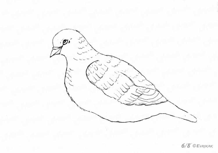 Трафарет голубя в полете