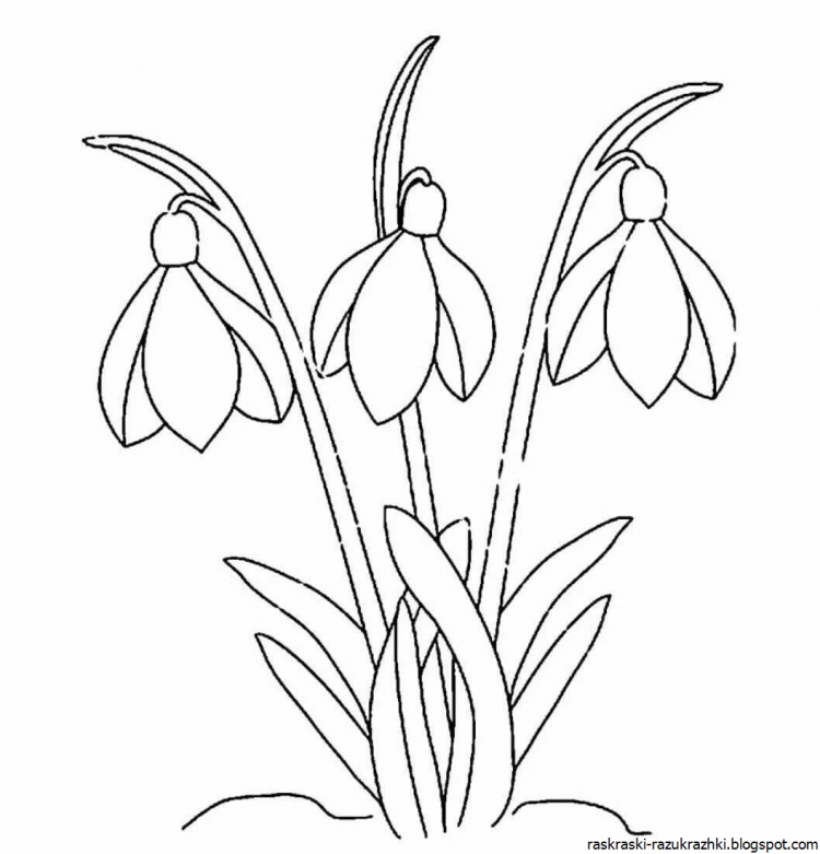 Раскраска. Весна