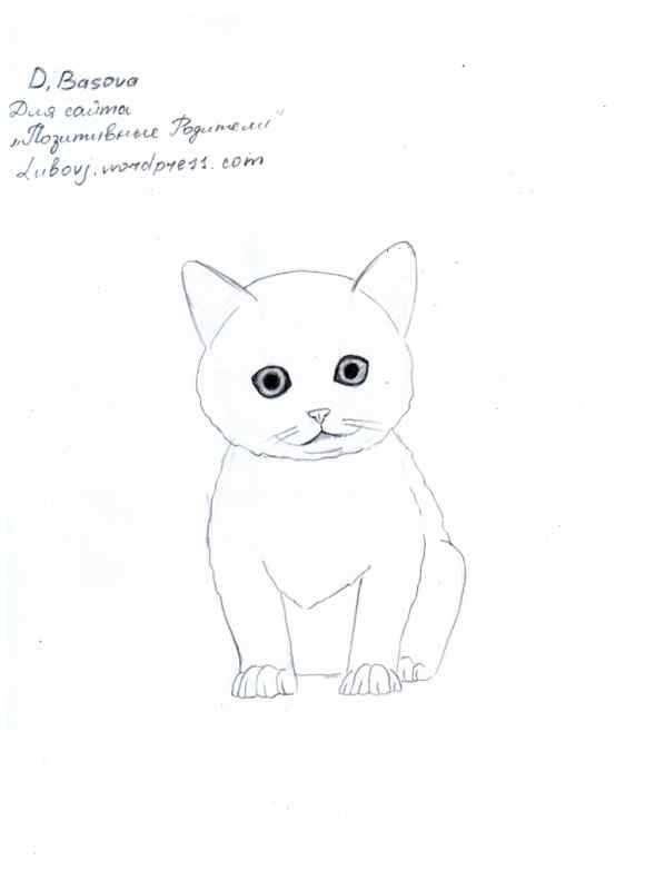 Кошки. Раскраска