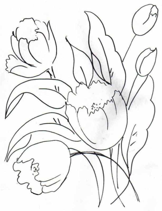 Тюльпан раскраска