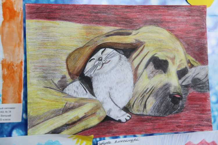 Мой питомец конкурс рисунков