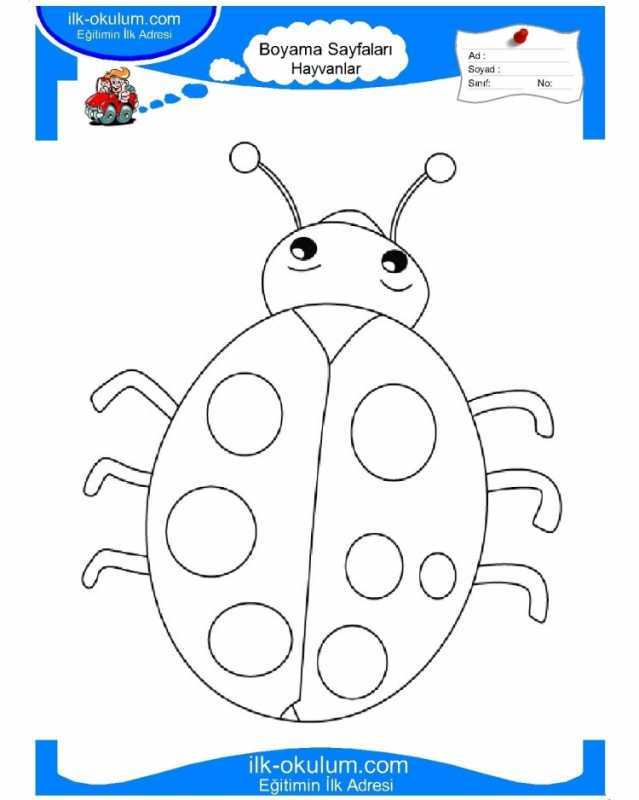 Божья коровка раскраска