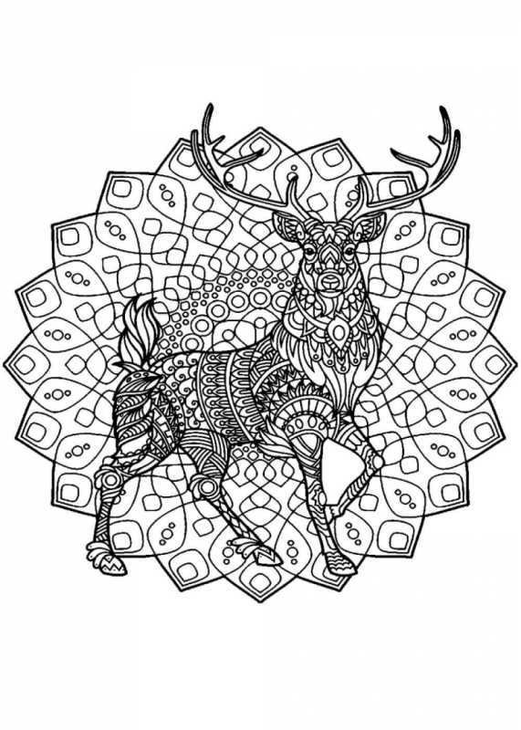 Олень орнамент