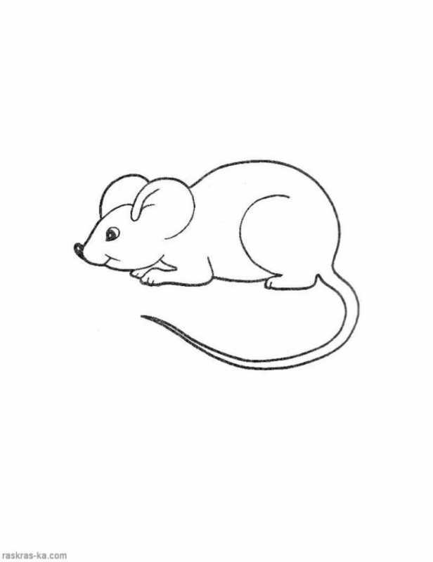 Мышка норушка раскраска