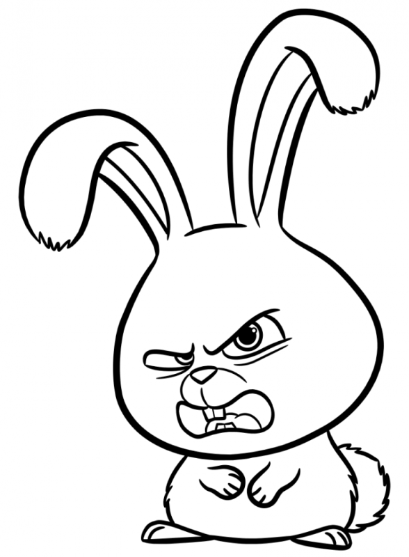 Раскраска Тайная жизнь домашних животных