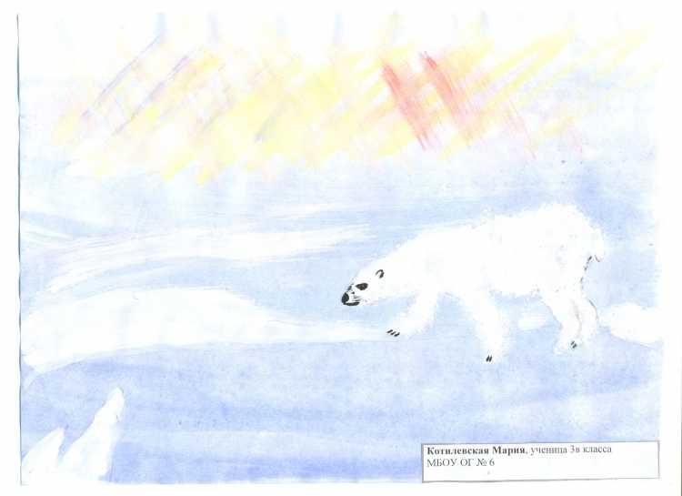 Белый медведь хозяин Арктики рисунок