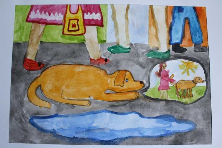 Детские рисунки бездомные животные