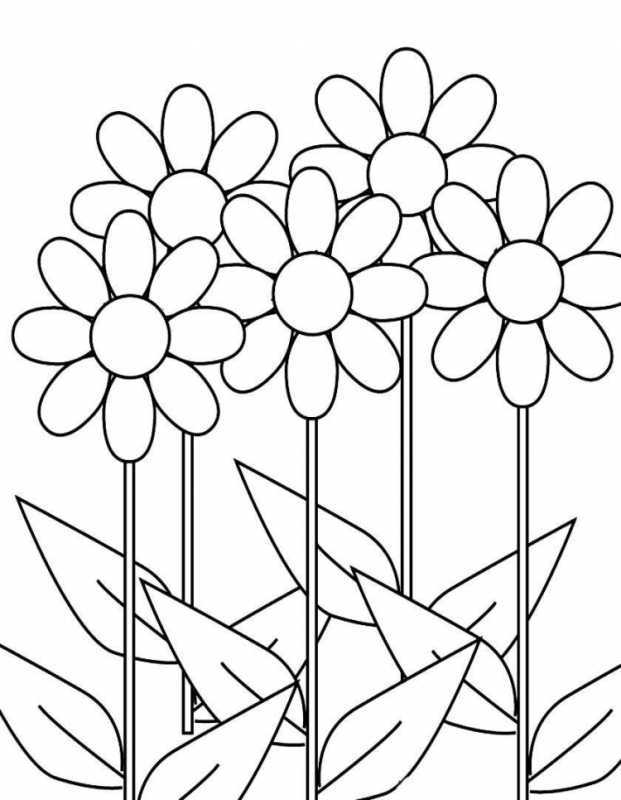 Цветы для раскрашивания