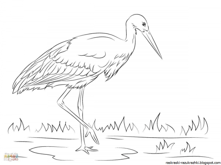 Аист мультяшный