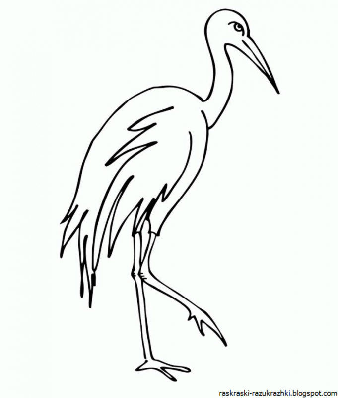 Предметная картинка для детей Аист