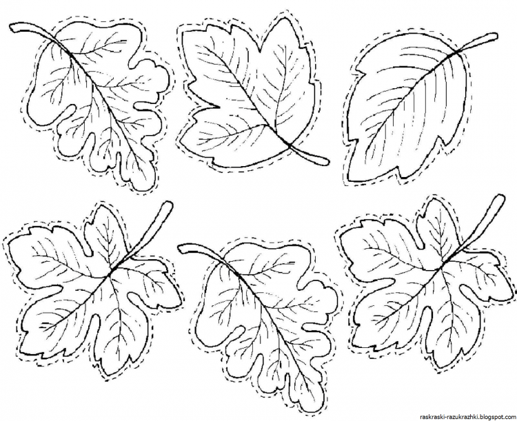 Раскраска листьев
