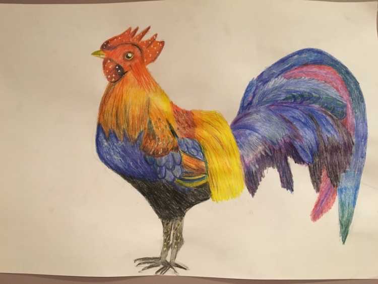 Петух живопись маслом