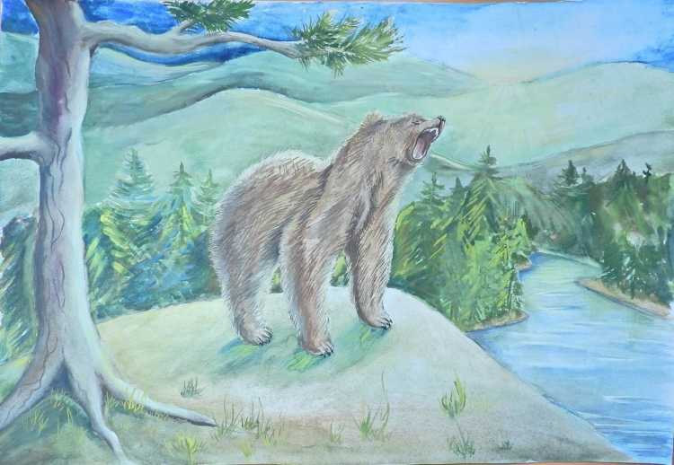 Тайга рисунок