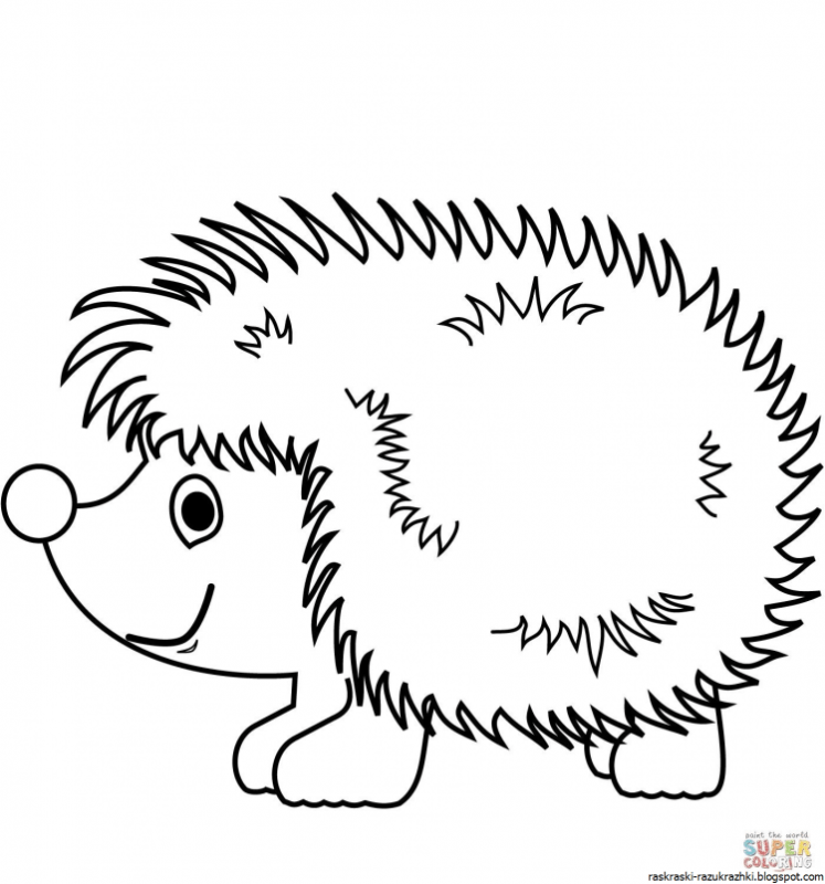 Раскраска Ёжик