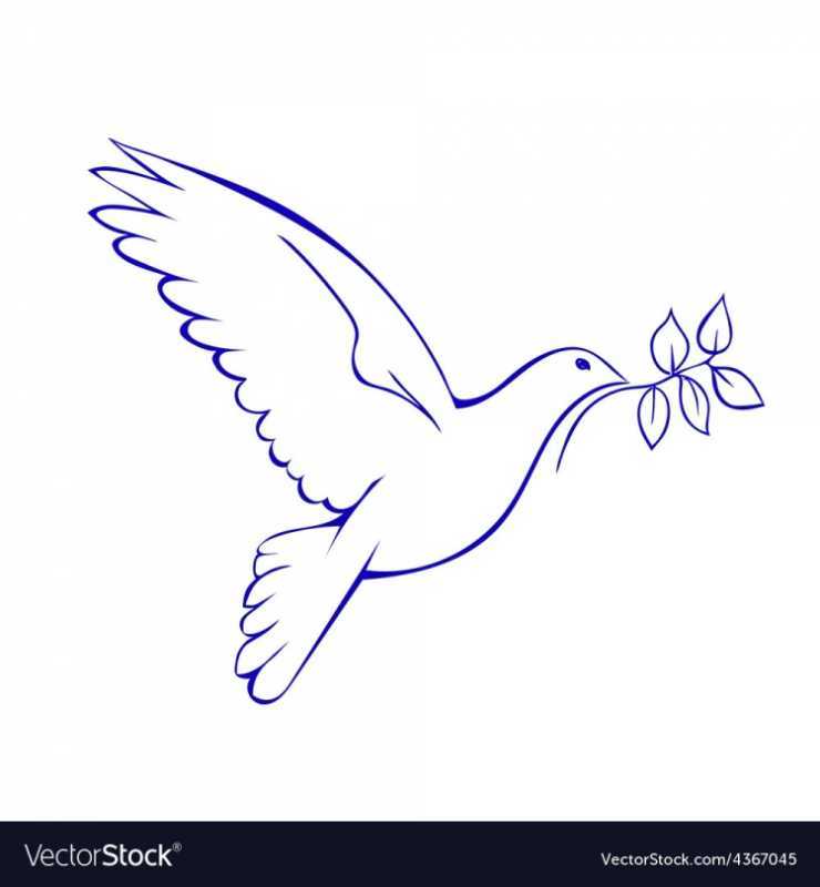 Горлица обыкновенная раскраска