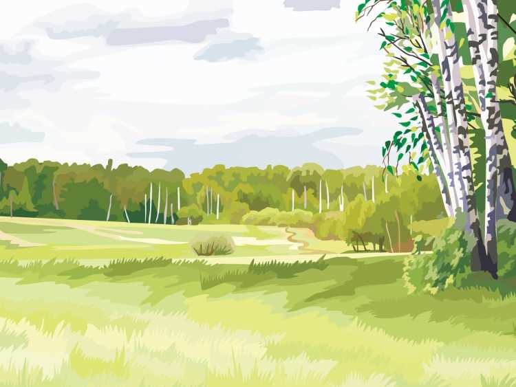 Векторные пейзажи деревни