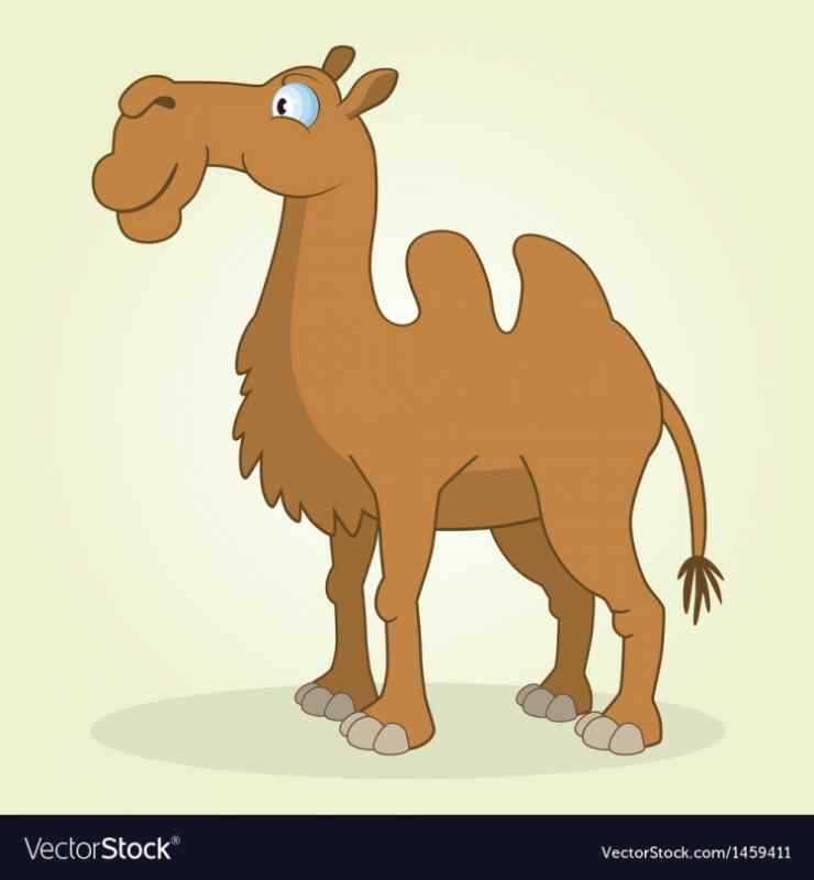 Горб верблюда для детей