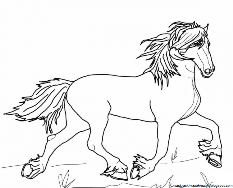 Раскраска. Лошади