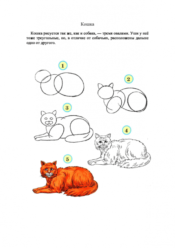 Как нарисовать кошку