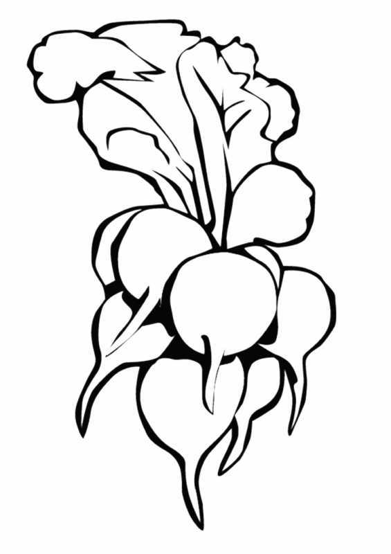 Репка раскраска для детей