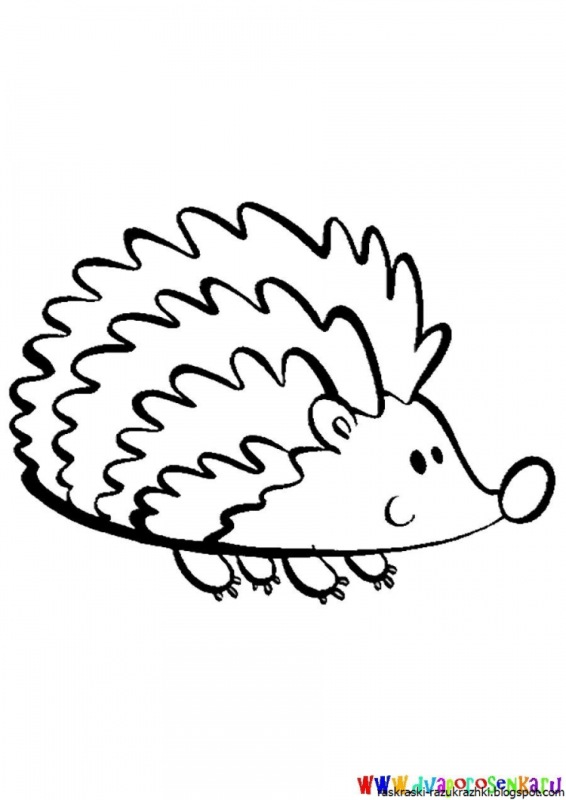 Ежик под раскраску