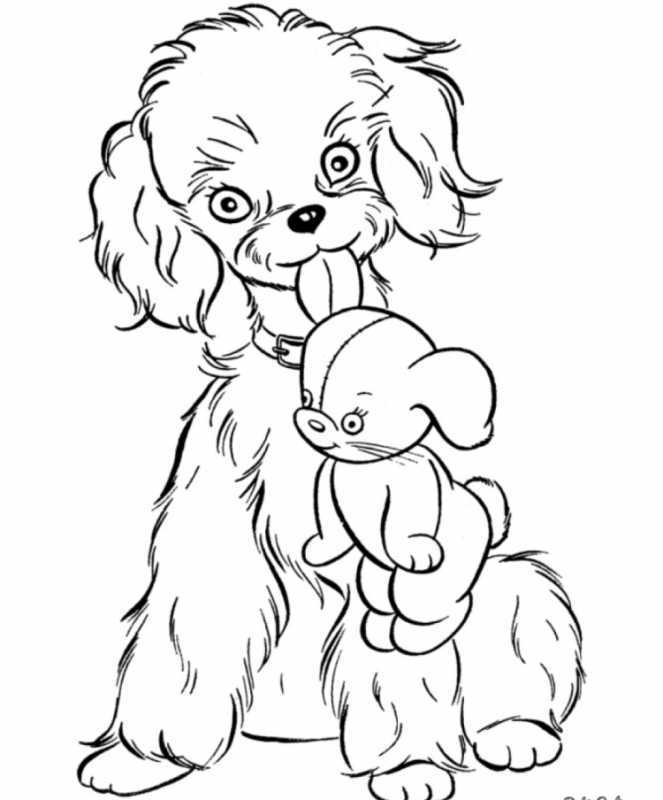 Собака раскраска для детей