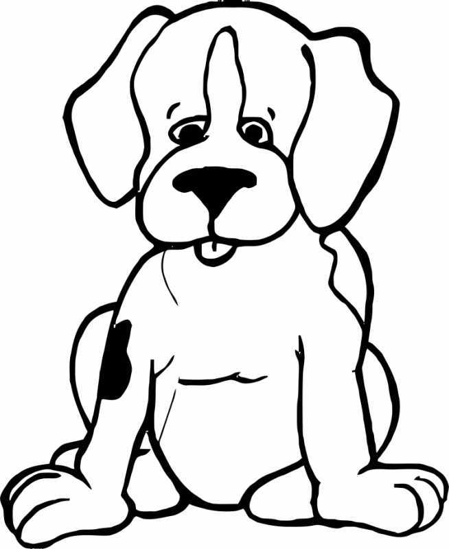 Бассет хаунд