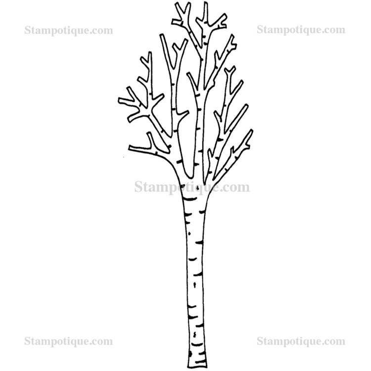 Береза раскраска