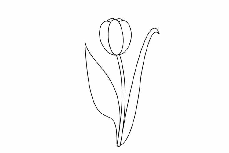 Цветы. Раскраска для малышей