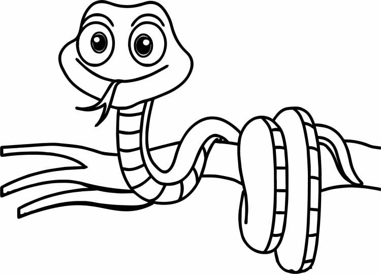 Змея раскраска цветная