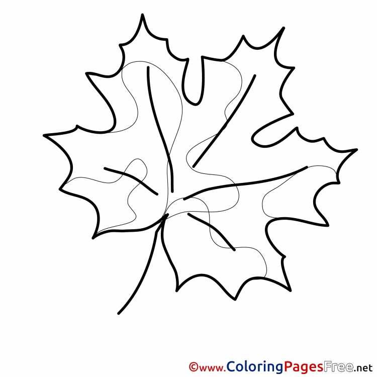 Кленовый лист раскраска