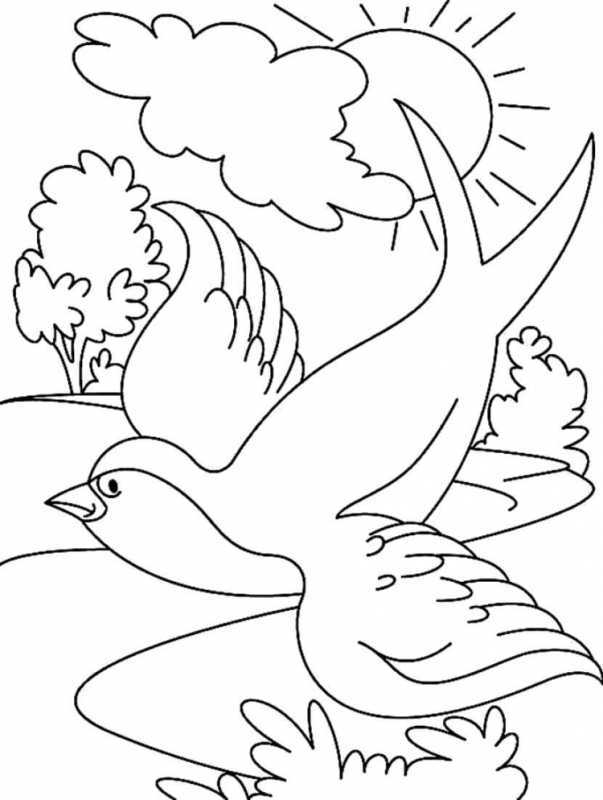 Рисование ласточки