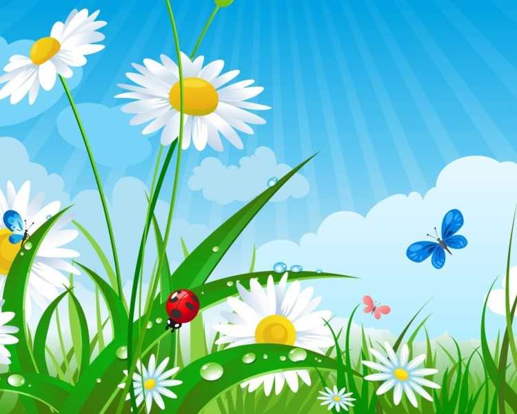 Цветочная Поляна для детей