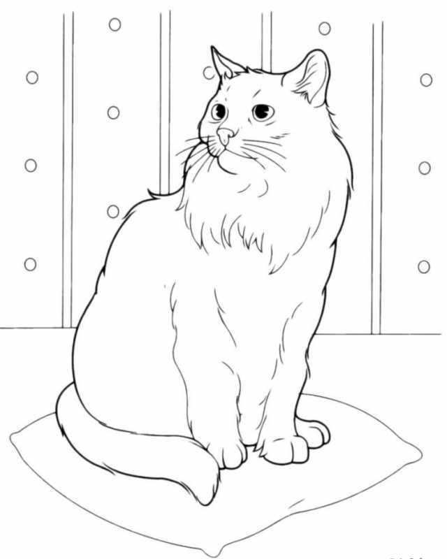 Кошки. Раскраска