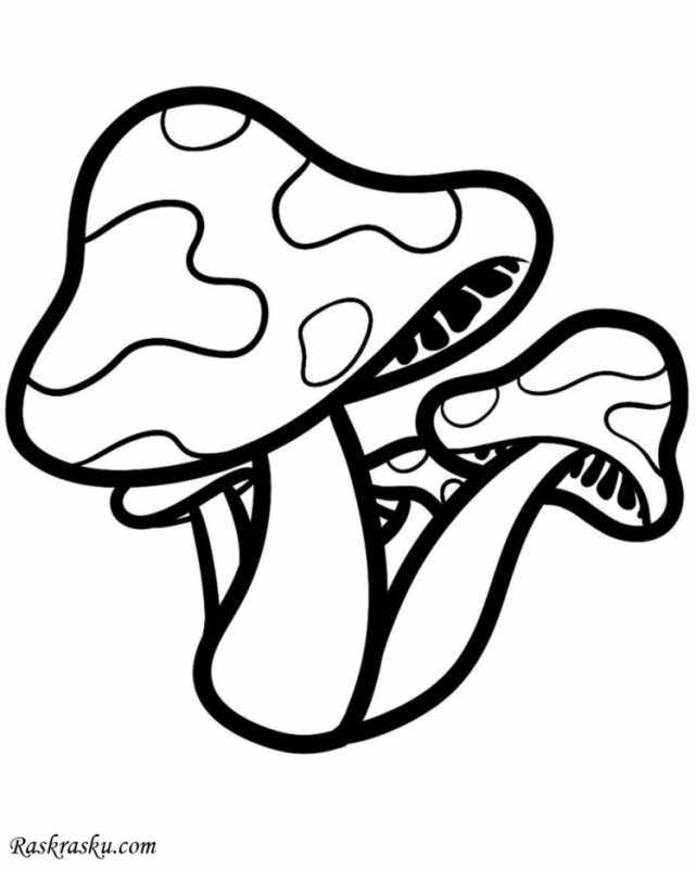 Раскраска грибок для детей 5-6 лет