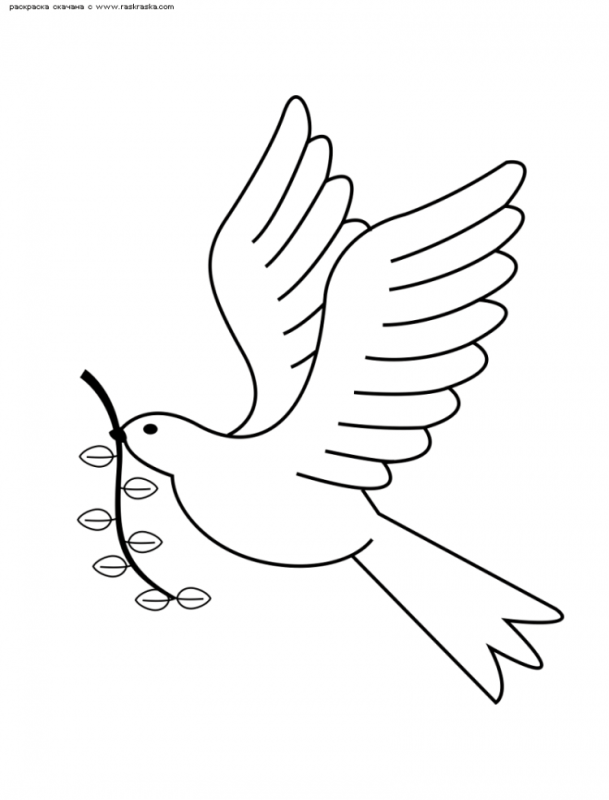 Контур летящего голубя