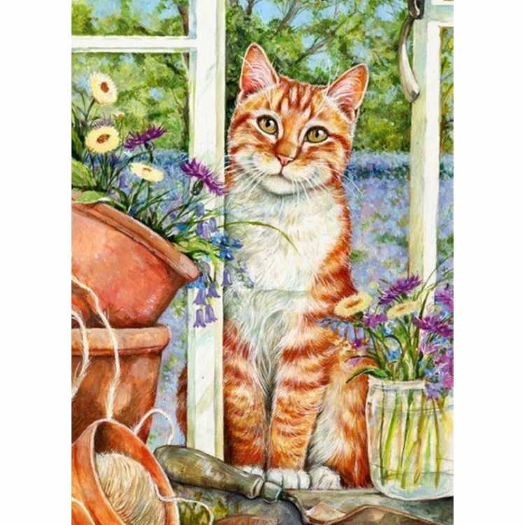 Debbie Cook кошки