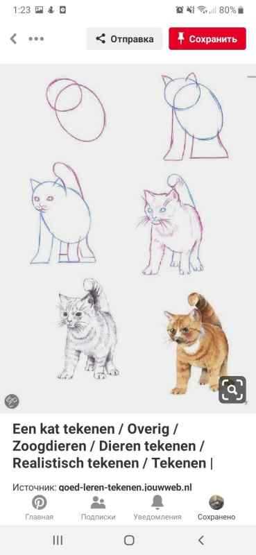 Кошка рисунок простой