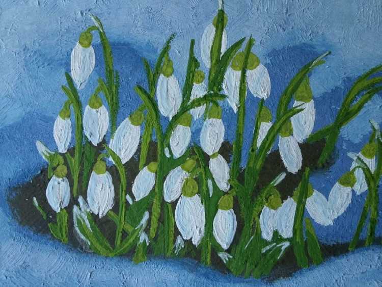 Подснежники на прозрачном фоне