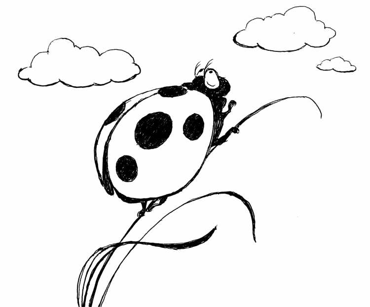 Божья коровка рисунок