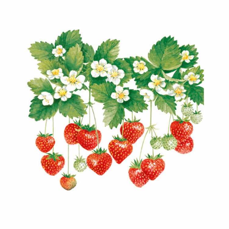 Клубника для декупажа