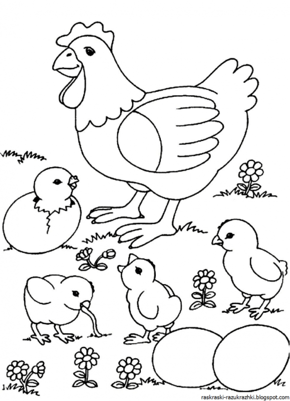 Цыпленок чики раскраска